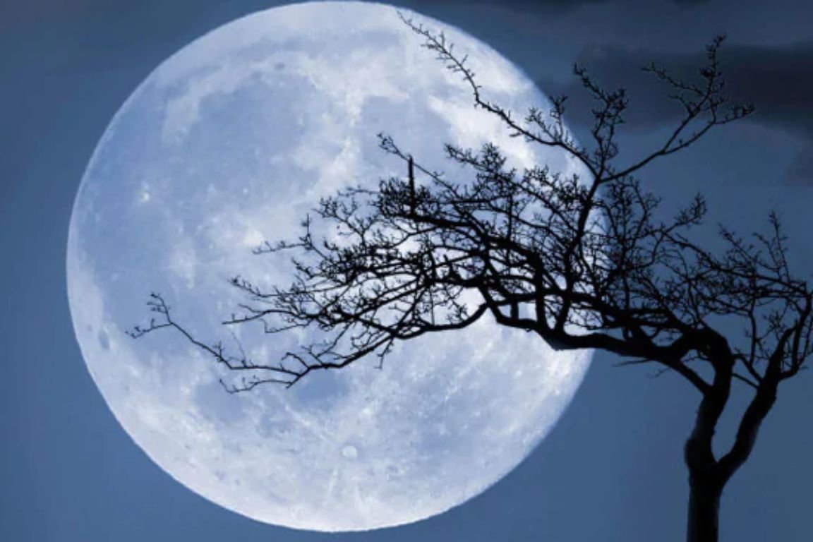 Rare Supermoon Blue Moon To Occur On August 19: All You Need To Know