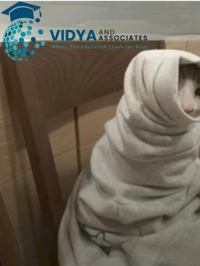 VIDYA (1200 x 1200 px) (37)